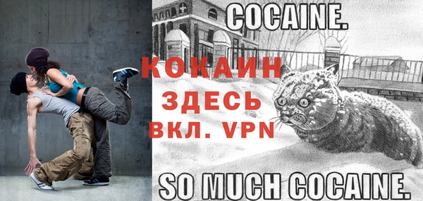 дмт Каменка