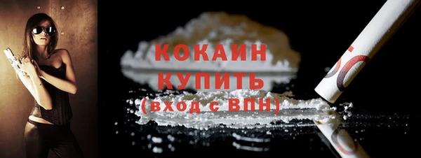 дмт Каменка