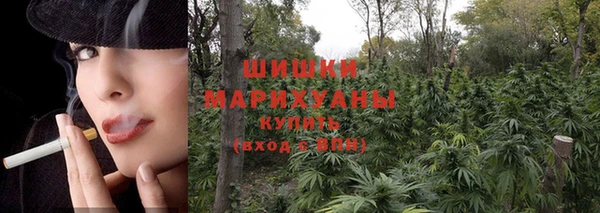 jwh Каменногорск