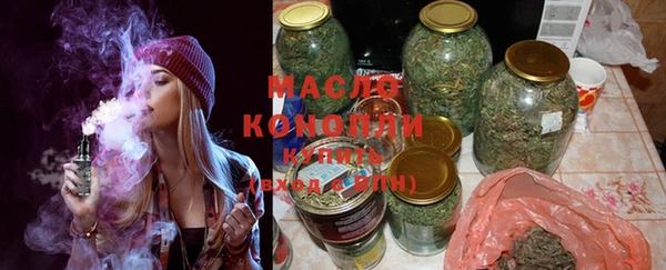 дмт Каменка