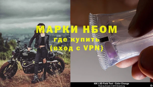 дмт Каменка