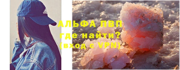 дмт Каменка