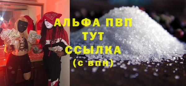 дмт Каменка